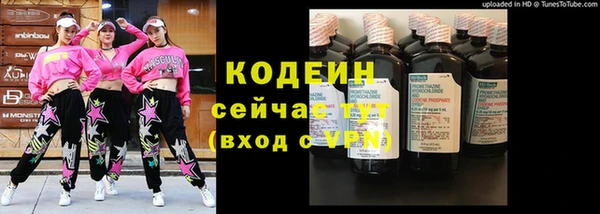молекула духа Белоозёрский