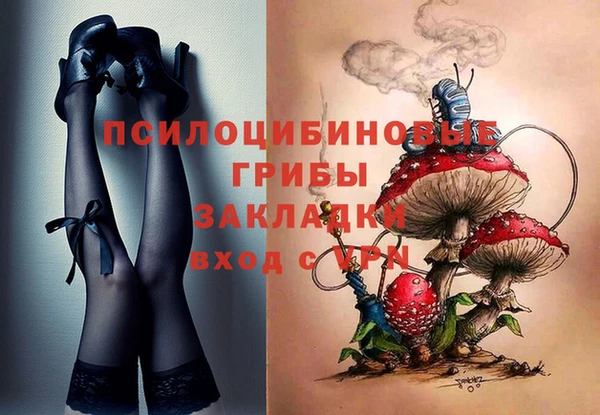 apvp Беломорск