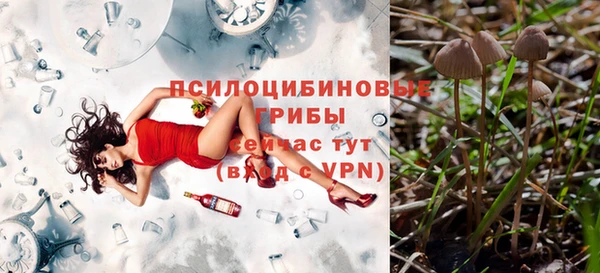 молекула духа Белоозёрский