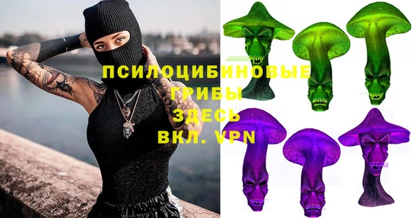 apvp Беломорск