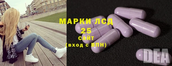 PSILOCYBIN Ветлуга