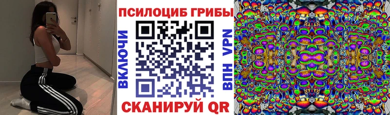 Галлюциногенные грибы Psilocybe  магазин  наркотиков  Луховицы 