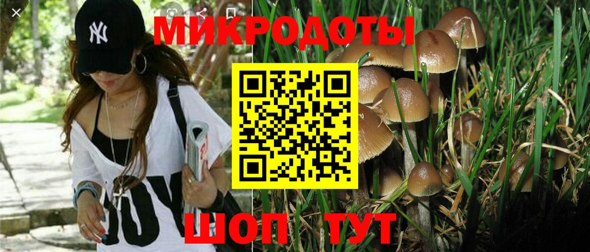 Псилоцибиновые грибы ЛСД  Вход с VPN  Луховицы 