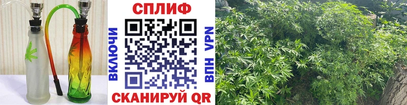 блэк спрут tor  Луховицы  Марихуана гибрид  продажа наркотиков 